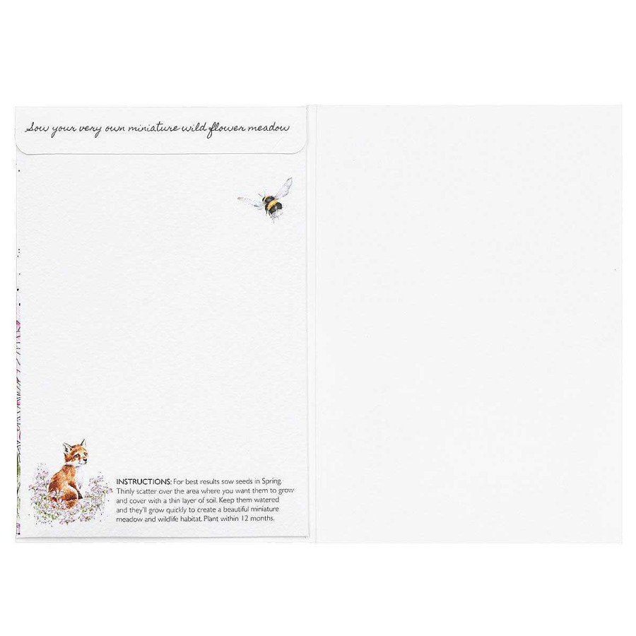 Seed Cards | Wrendale Wrendale 'Make My Daisy' Fox Seed Card