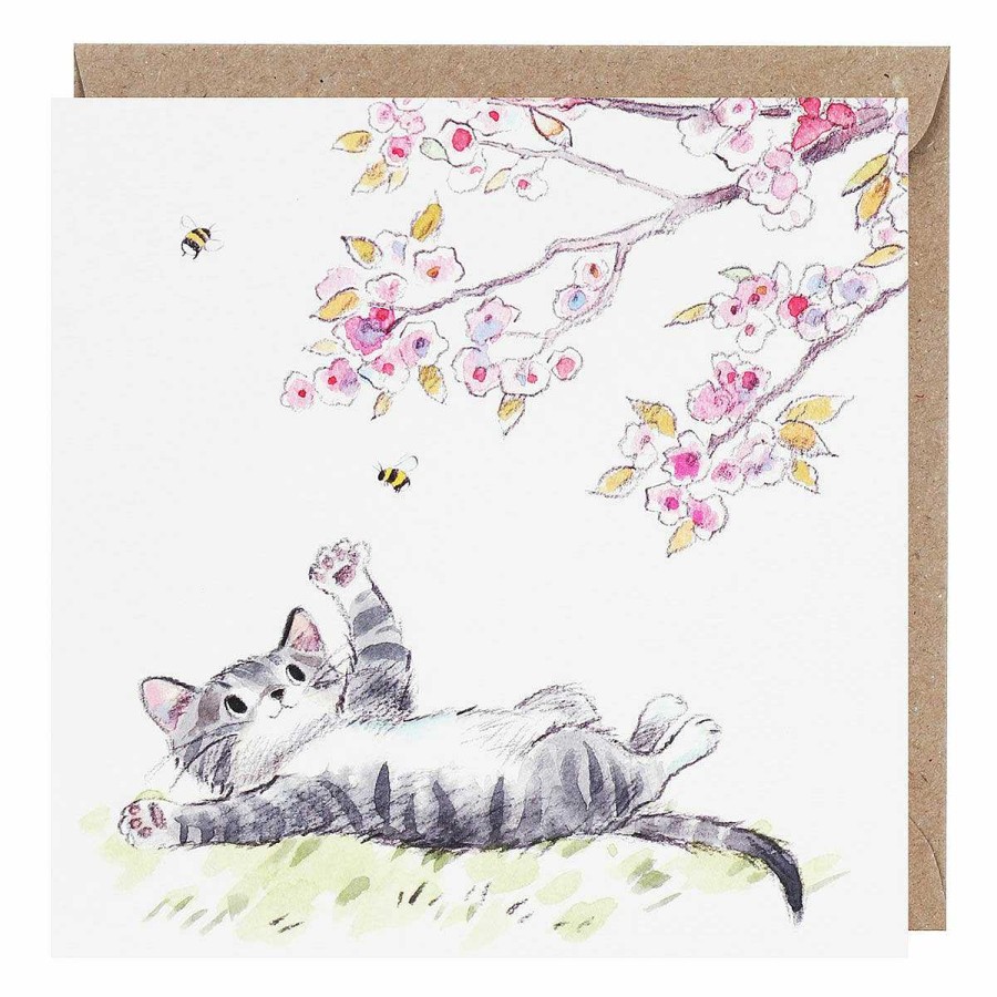 Notecard Sets | Paper Shed Designs Paper Shed Designs Tabby Cat With Cherry Blossom Pack Of 5 Notecards