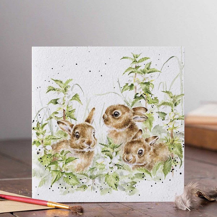 Animals & Birds Cards | Wrendale Wrendale 'Spring Hares' Hare Greetings Card