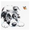 Cats & Dogs Cards | Paper Shed Designs Paper Shed Designs Collie & Butterfly Square Greetings Card