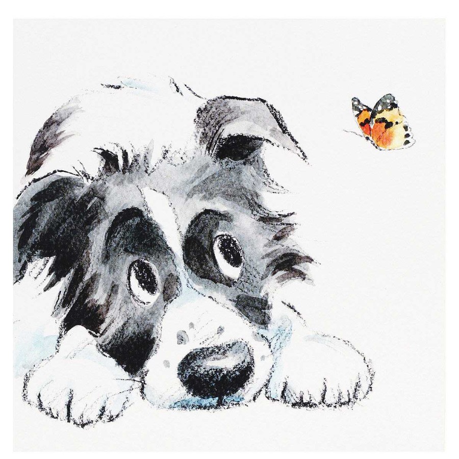 Cats & Dogs Cards | Paper Shed Designs Paper Shed Designs Collie & Butterfly Square Greetings Card