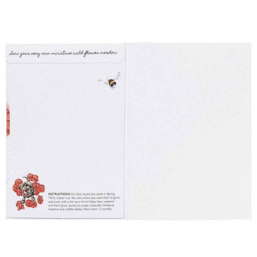 Seed Cards | Wrendale Wrendale 'Poppy Love' Dog Seed Card