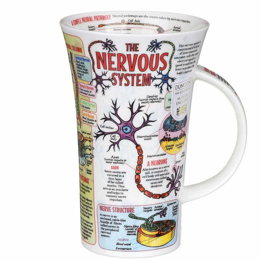 Mugs | Dunoon Dunoon The Nervous System Glencoe Shape Mug