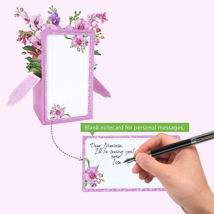 Floral Cards | Origamo Origamo Florever 'Orchids' Pop-Up Flower Box Card