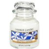 Jar Candles | Yankee Candle Yankee Candle Midnight Jasmine Small Jar Candle