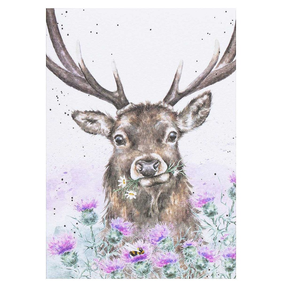 Seed Cards | Wrendale Wrendale 'Thistle Make You Smile' Stag Seed Card