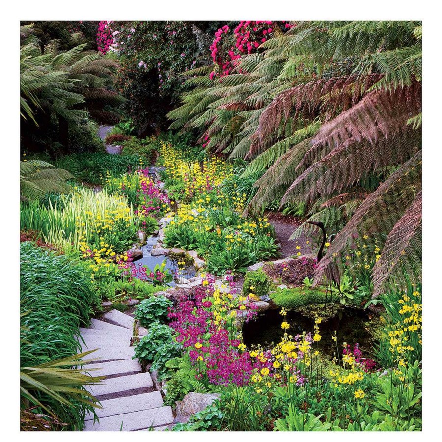 Photographic Cards | BBC Bbc Gardeners' World - The Water Garden Greetings Card