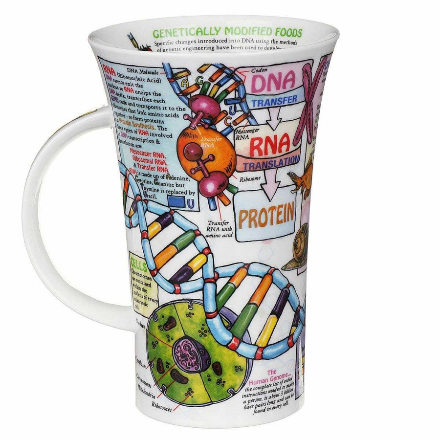 Mugs | Dunoon Dunoon Dna Glencoe Shape Mug