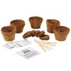 Gardening Accessories | Gift Republic Gift Republic Grow It Bonsai Trees