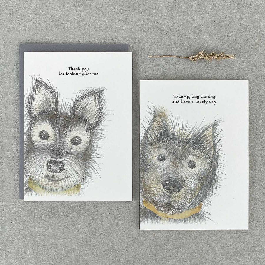 Romantic Cards | East of India East Of India 'Thank You For Looking After Me' Dog Card