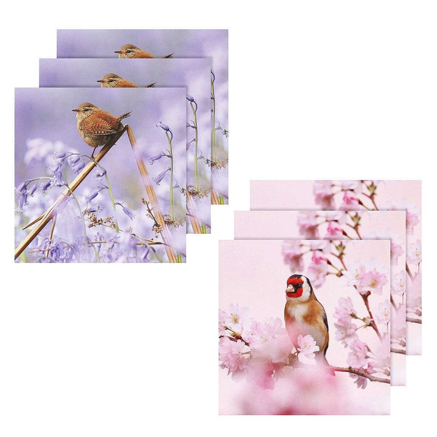 Photographic Cards | BBC Bbc Springwatch Wren & Goldfinch Set Of 6 Blank Notecards