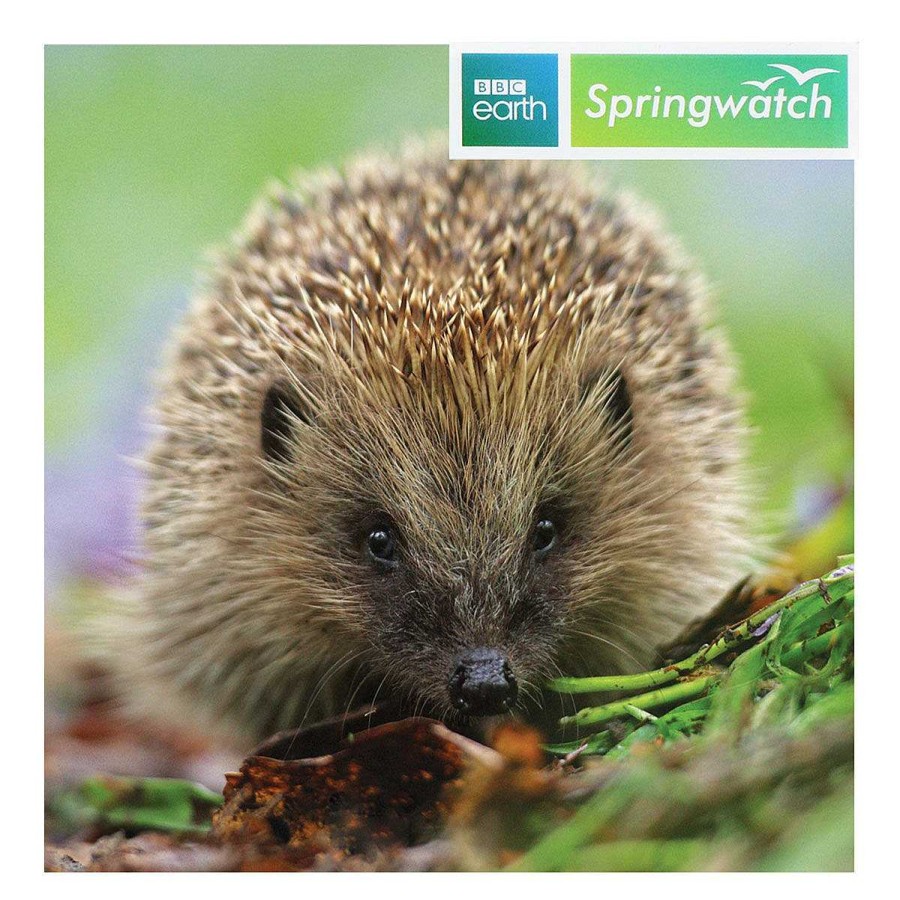 Photographic Cards | BBC Bbc Springwatch Hedgehog Greetings Card