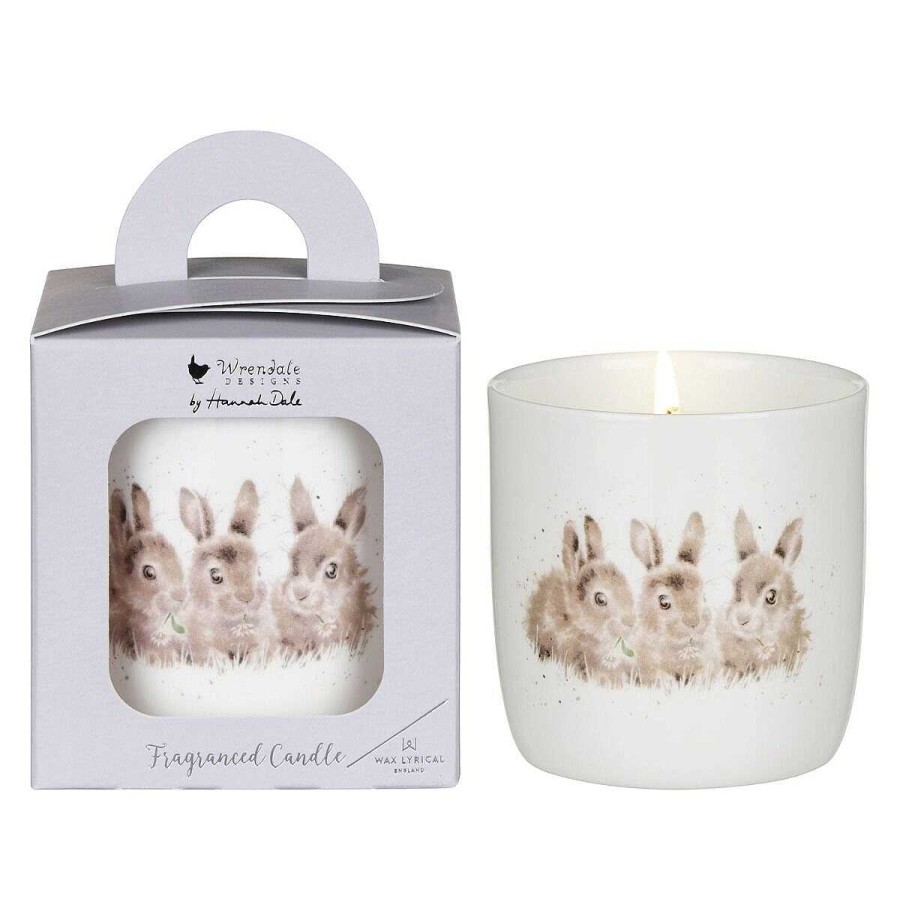 Ceramic Candles | Wrendale Wrendale 'Daisy Chain' Fragranced Jar Candle