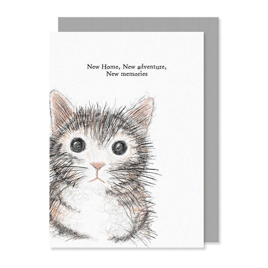 New Home | East of India East Of India 'New Home, New Adventures' Cat Card