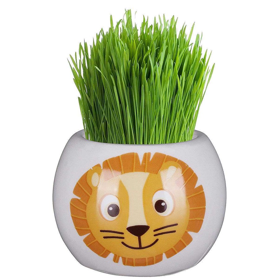 Home & Hobbies | Widdop & Co Widdop & Co Assorted Boutique Garden Jungle Adventure Collection Grass Hair Kit