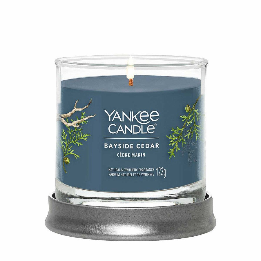 Aromatherapy | Yankee Candle Yankee Candle Bayside Cedar Signature Small Tumbler Candle