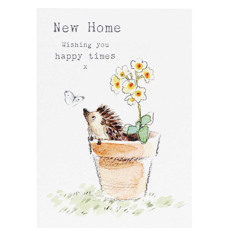 New Home | Paper Shed Designs Paper Shed Designs Hedgehog In Flowerpot 'New Home' Greetings Card