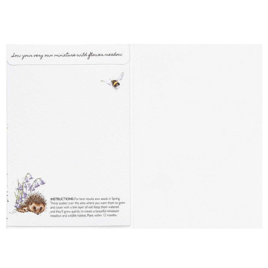 Seed Cards | Wrendale Wrendale 'Love And Hedgehugs' Hedgehog Seed Card