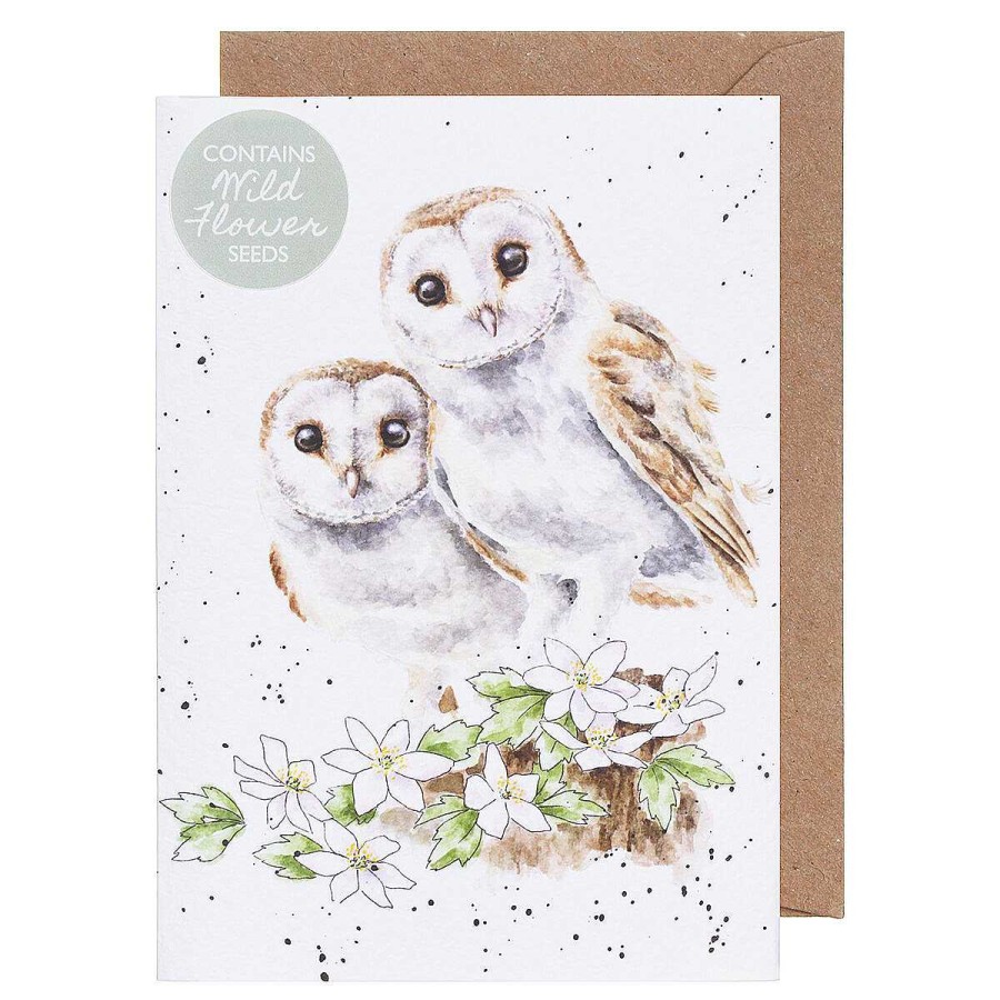 Seed Cards | Wrendale Wrendale 'Hooting For You' Owl Seed Card