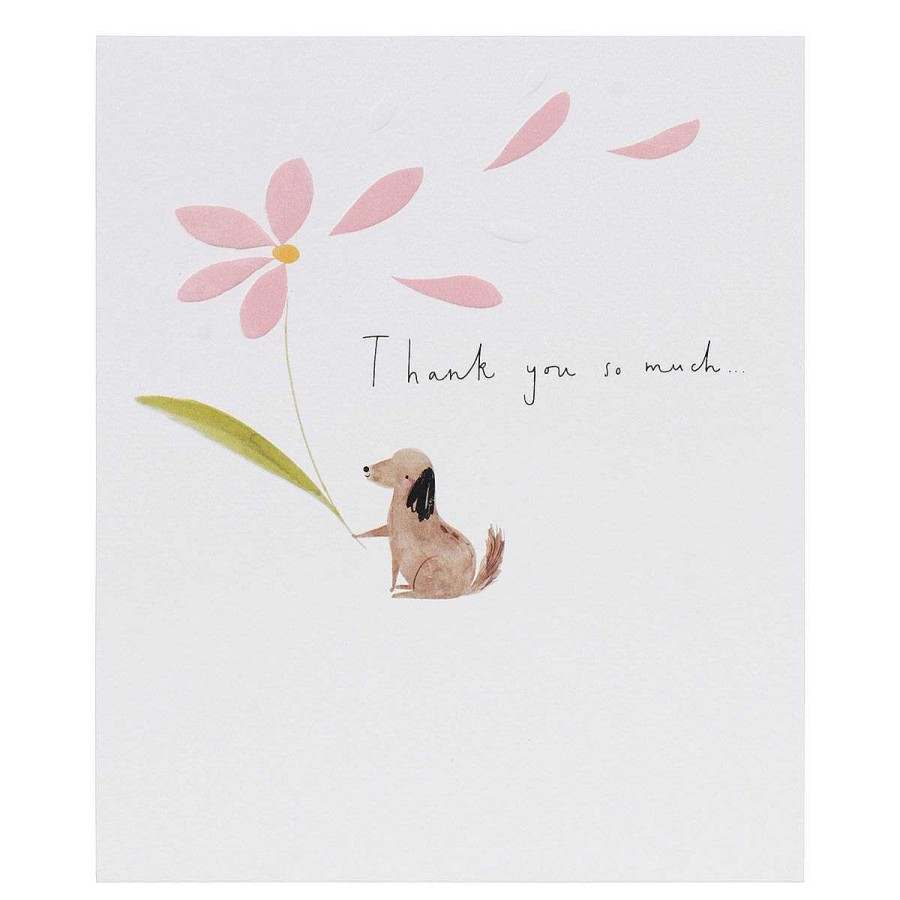 Thank You | Paperlink Paperlink Pick 'N' Mix Dog Thank You Card