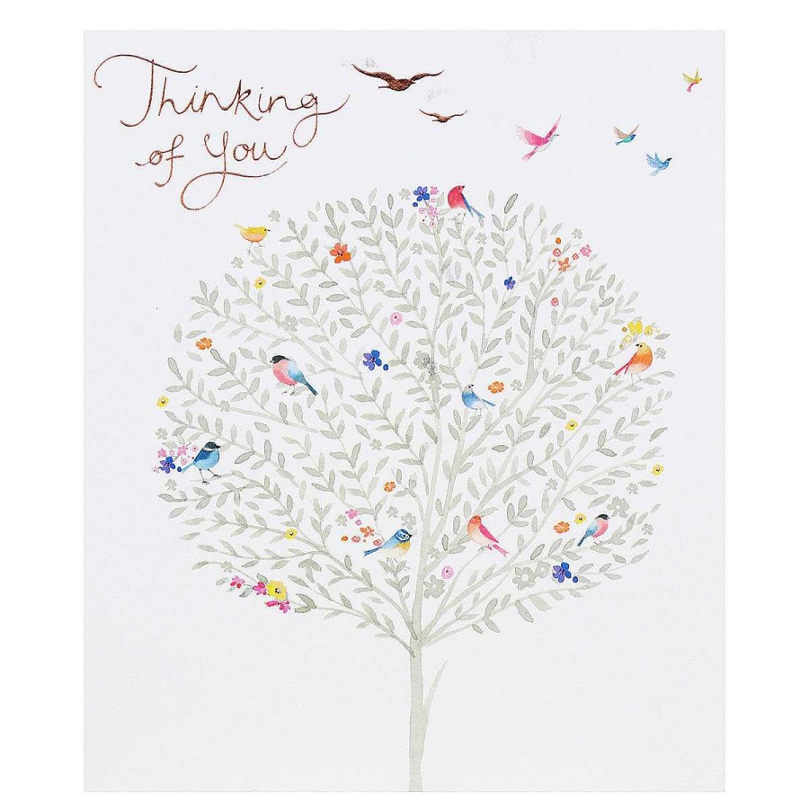 Sympathy | Paperlink Paperlink Delphine Birds In Tree Thinking Of You Card