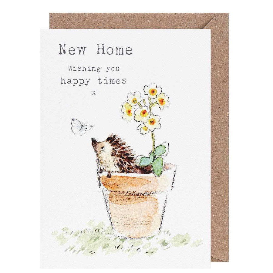 New Home | Paper Shed Designs Paper Shed Designs Hedgehog In Flowerpot 'New Home' Greetings Card