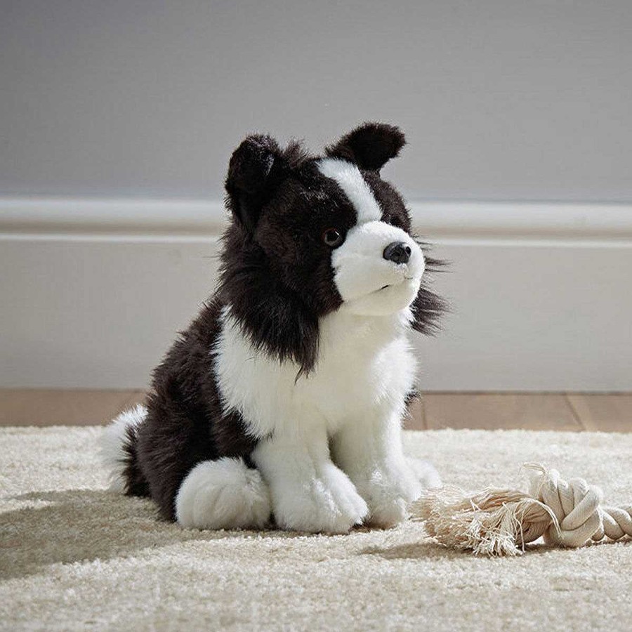 Friend | Living Nature Living Nature Border Collie Dog