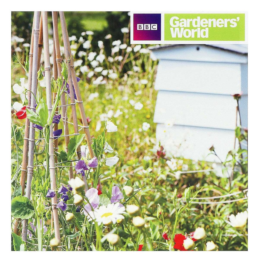 Photographic Cards | BBC Bbc Gardeners' World Bee-Friendly Garden Greetings Card