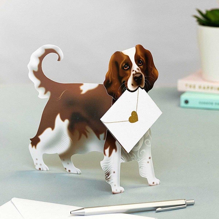 Cards For Him | Special Delivery Special Delivery Bramble Dog 3D Greetings Card