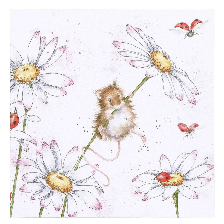 Animals & Birds Cards | Wrendale Wrendale 'Oops A Daisy' Mouse Greetings Card