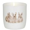 Ceramic Candles | Wrendale Wrendale 'Daisy Chain' Fragranced Jar Candle