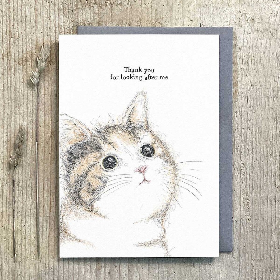 Romantic Cards | East of India East Of India 'Thank You For Looking After Me' Cat Card