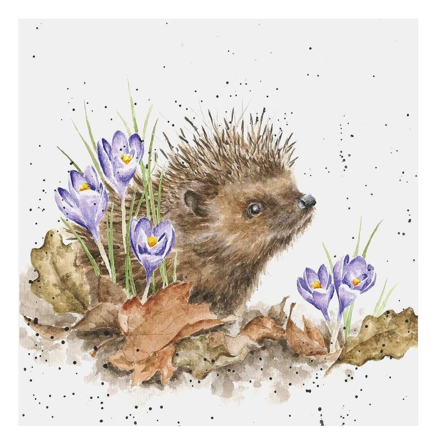 Greeting Cards | Wrendale Wrendale 'New Beginnings' Hedgehog Greetings Card