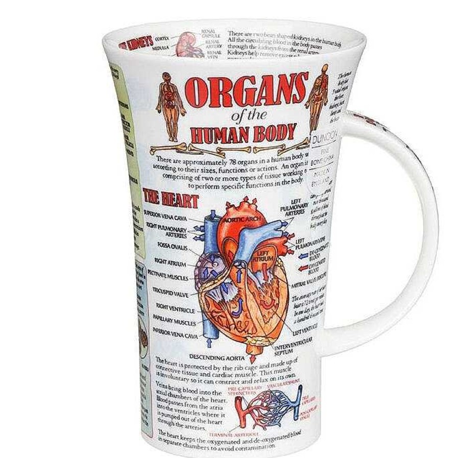 Mugs | Dunoon Dunoon Organs Of The Human Body Glencoe Shape Mug