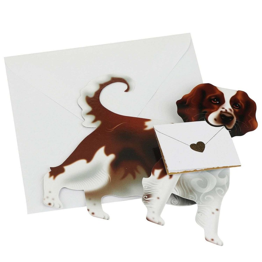 Cards For Him | Special Delivery Special Delivery Bramble Dog 3D Greetings Card