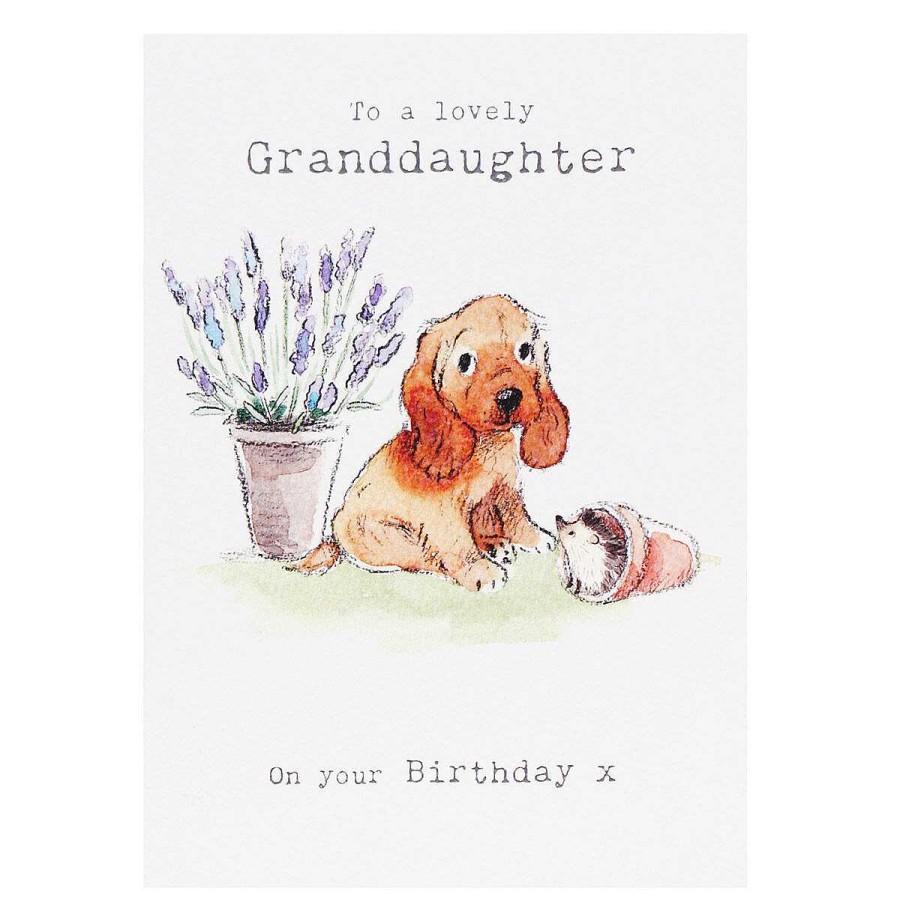 By Recipient | Paper Shed Designs Paper Shed Designs Puppy & Hedgehog 'Granddaughter' Birthday Card