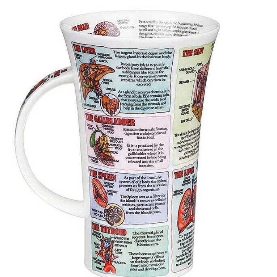 Mugs | Dunoon Dunoon Organs Of The Human Body Glencoe Shape Mug