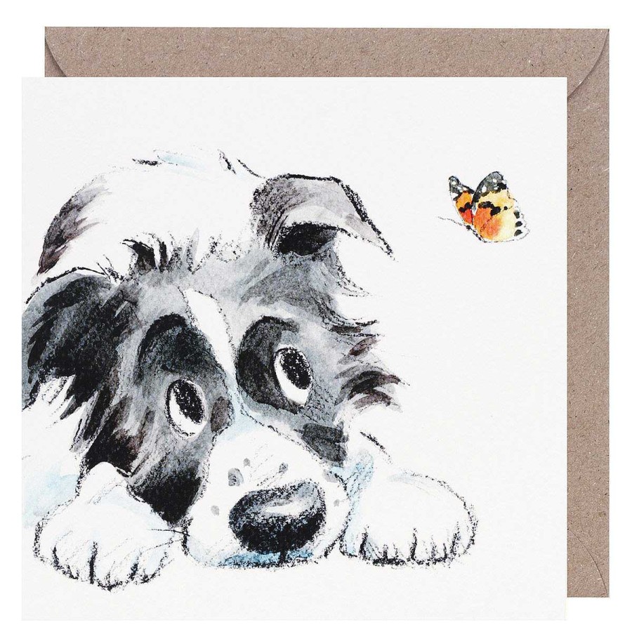 Cats & Dogs Cards | Paper Shed Designs Paper Shed Designs Collie & Butterfly Square Greetings Card