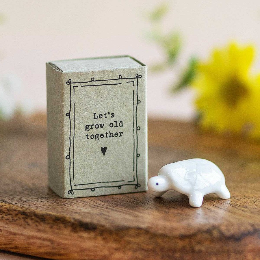 Ornaments | East of India East Of India Matchbox Tortoise