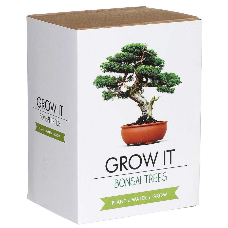 Gardening Accessories | Gift Republic Gift Republic Grow It Bonsai Trees