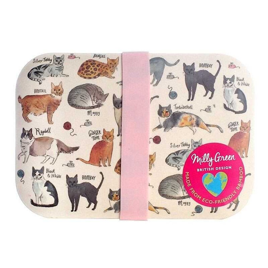 Gifts For Pet Lovers | Milly Green Milly Green Curious Cats Bamboo Lunch Box