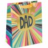 Large Gift Bags | Glick Glick Paper Salad Dad Rays Large Gift Bag