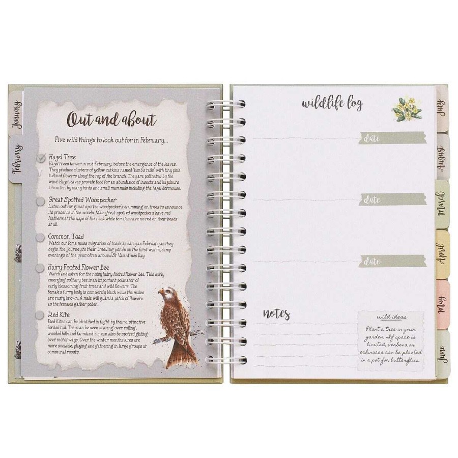 Journals & Planners | Wrendale Wrendale 'Bright Eyed And Bushy Tailed' Fox Wildlife Journal