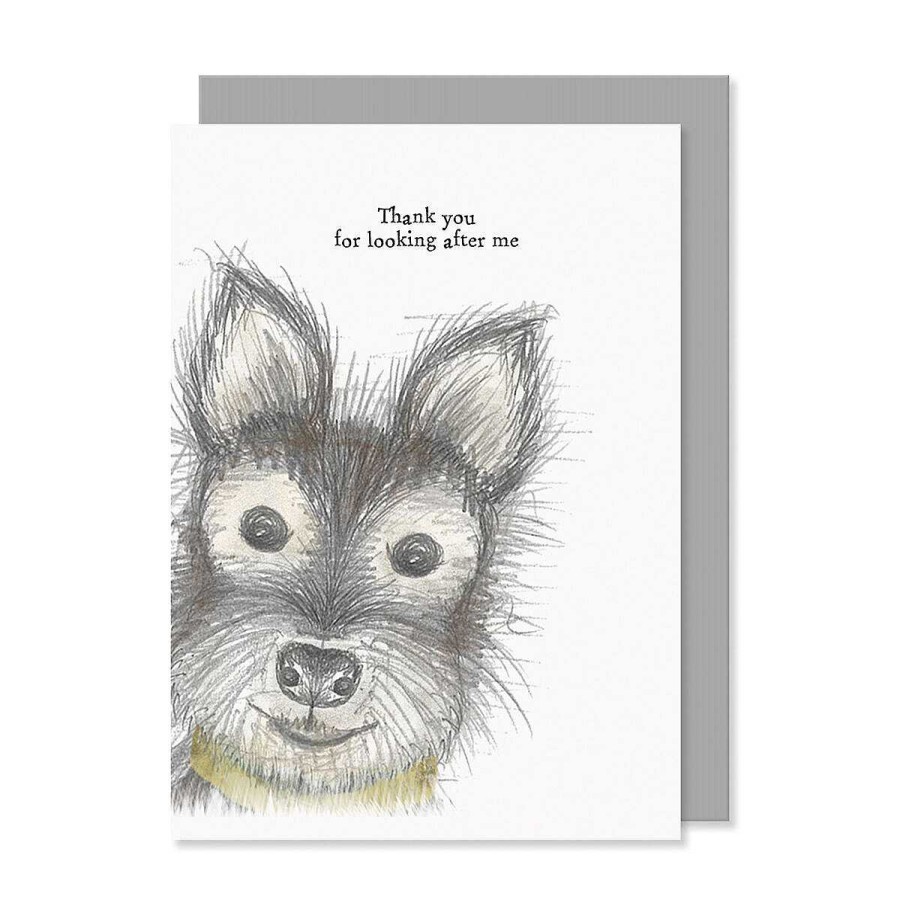 Romantic Cards | East of India East Of India 'Thank You For Looking After Me' Dog Card