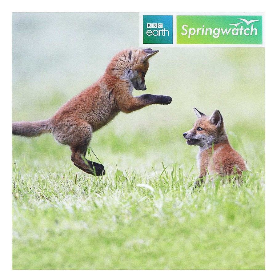 Photographic Cards | BBC Bbc Springwatch Red Fox Cubs Greetings Card