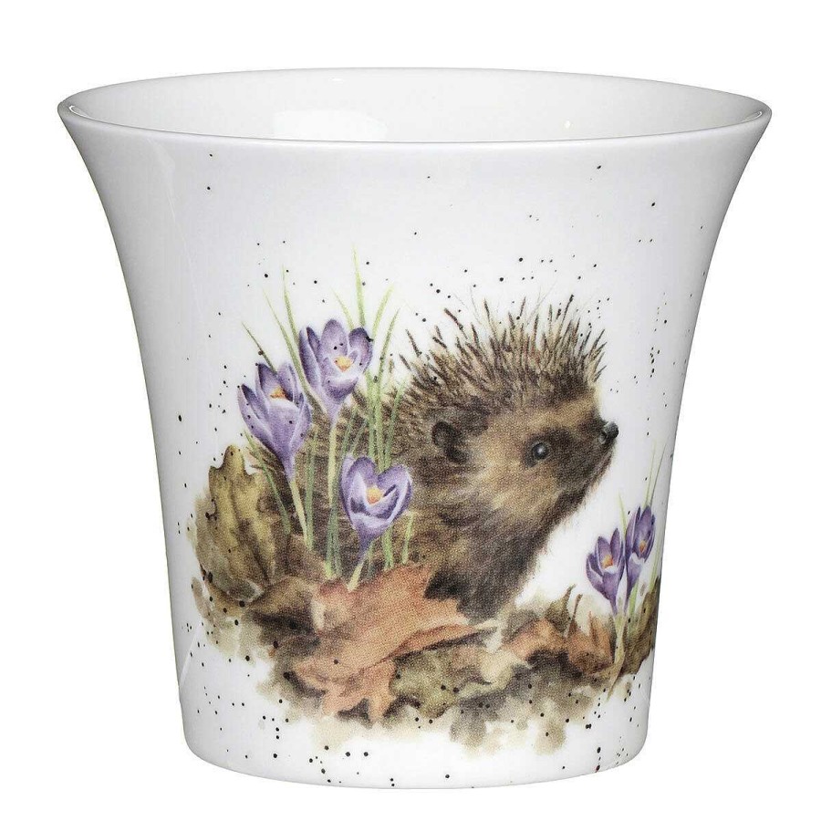 Gardening Accessories | Wrendale Wrendale Hedgehog Flower And Herb Pot