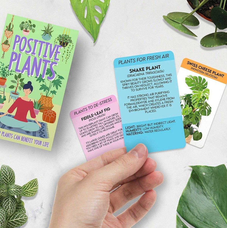 Gardening Accessories | Gift Republic Gift Republic 100 Positive Plant Cards