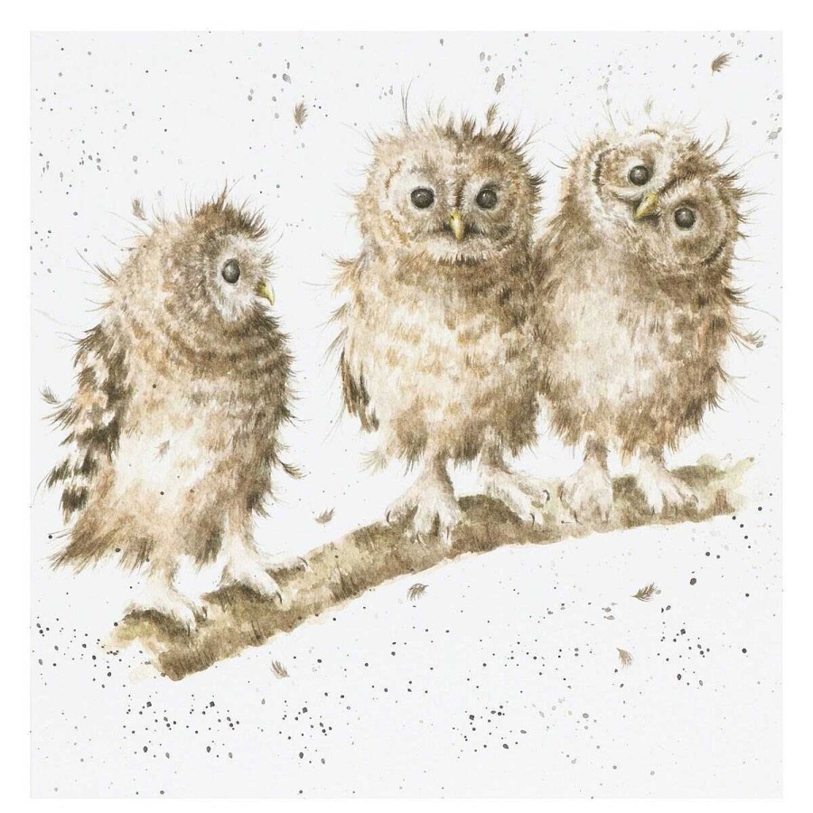 Greeting Cards | Wrendale Wrendale 'You First' Owl Greetings Card