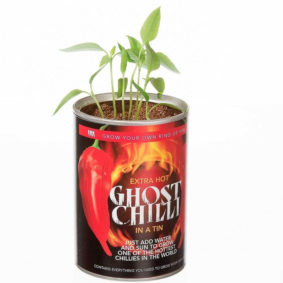 Food & Drink | Funtime Funtime Grow Your Own Ghost Chilli