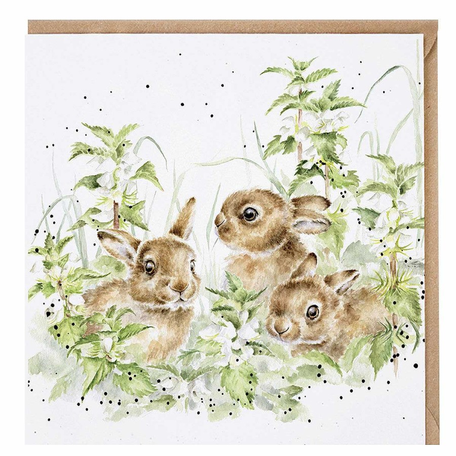 Animals & Birds Cards | Wrendale Wrendale 'Spring Hares' Hare Greetings Card